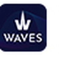 WAVES logo